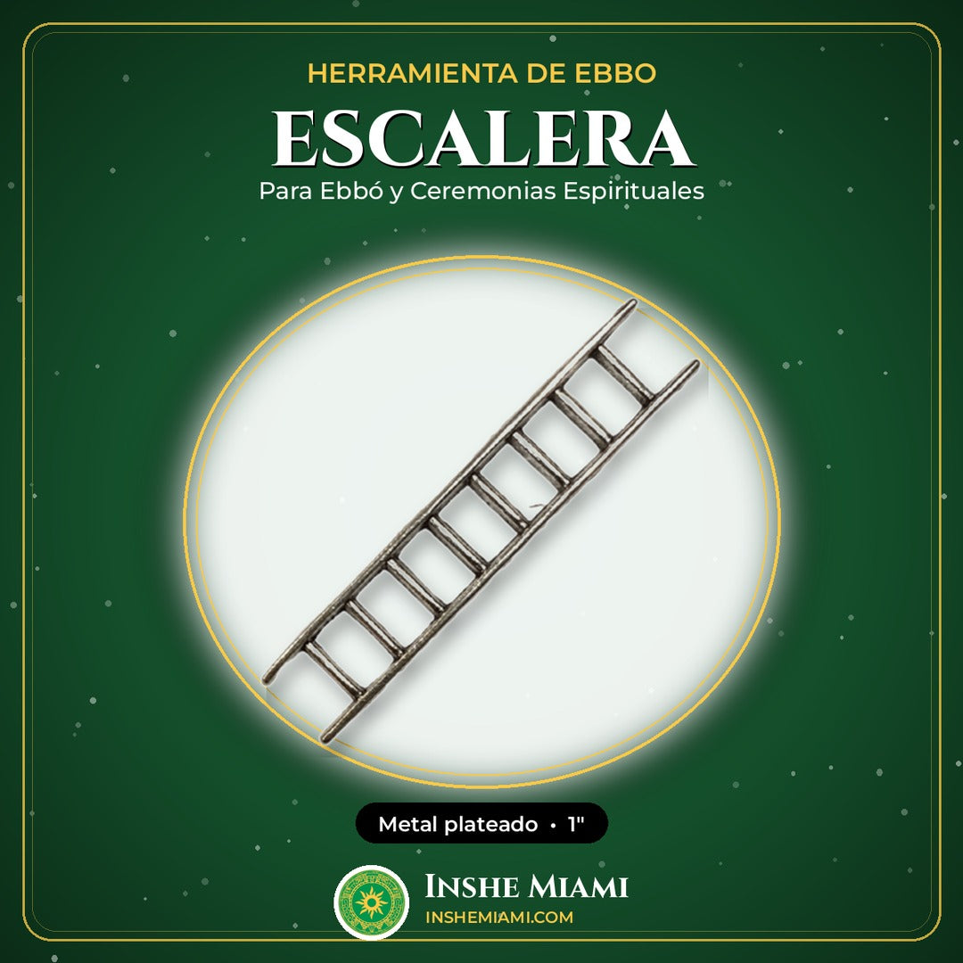 Herramienta de ebbo escalera | Inshe Miami