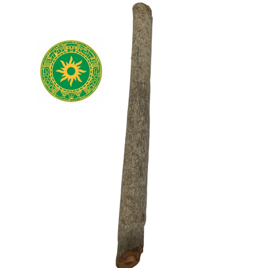 RED MANGROVE STICK