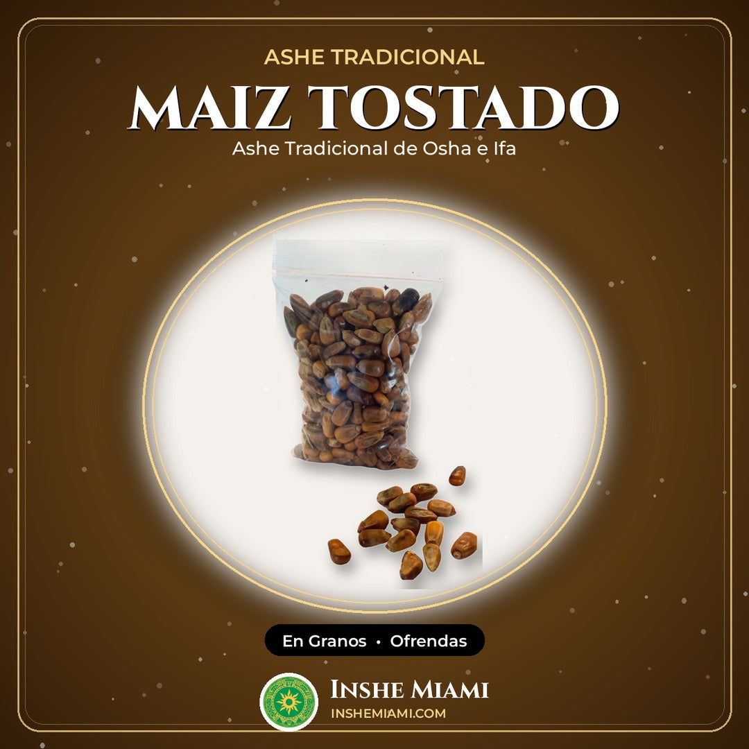 Maiz Tostado en Granos | Inshe Miami