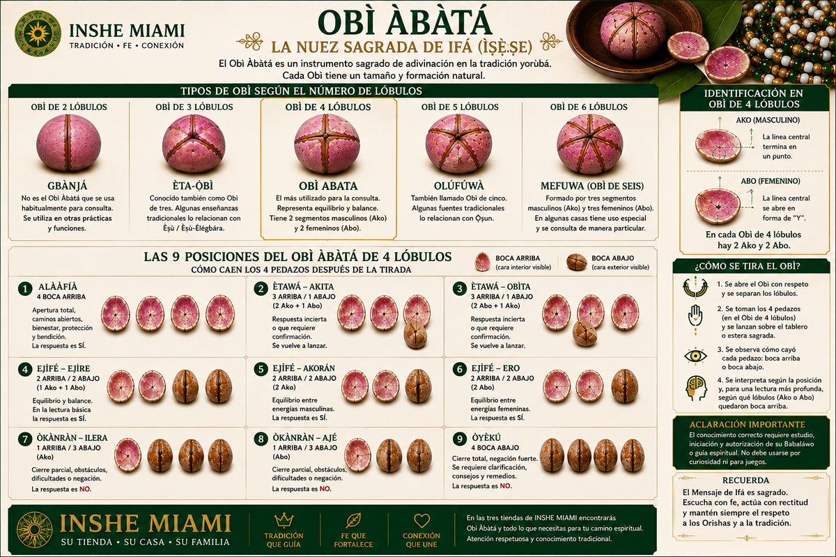 Obi Abata | Cola Acuminata (Obi) | Natural Kola Nuts | Traditional Yoruba Use | Inshe Miami