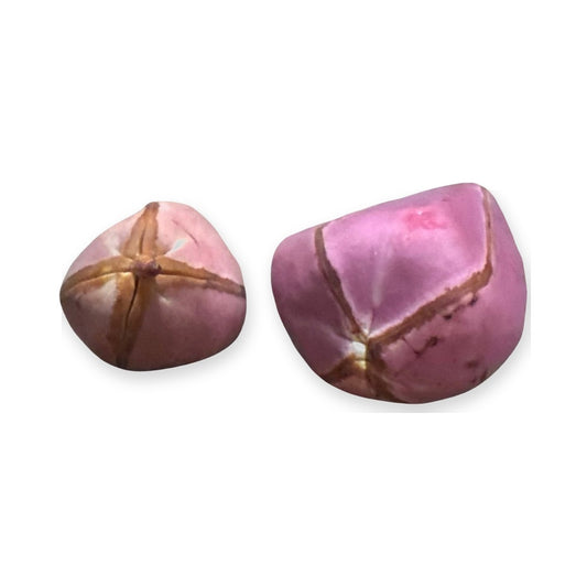 Obi Abata (Kola Nut) Africano