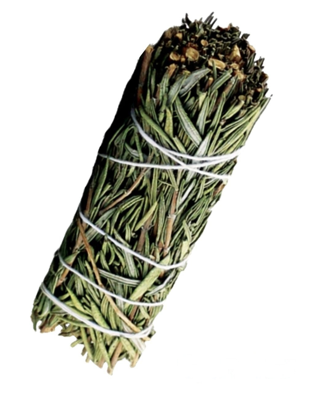 Sahumerio de Romero 4 Pulgadas – Rosemary Smudge Stick | Inshe Miami
