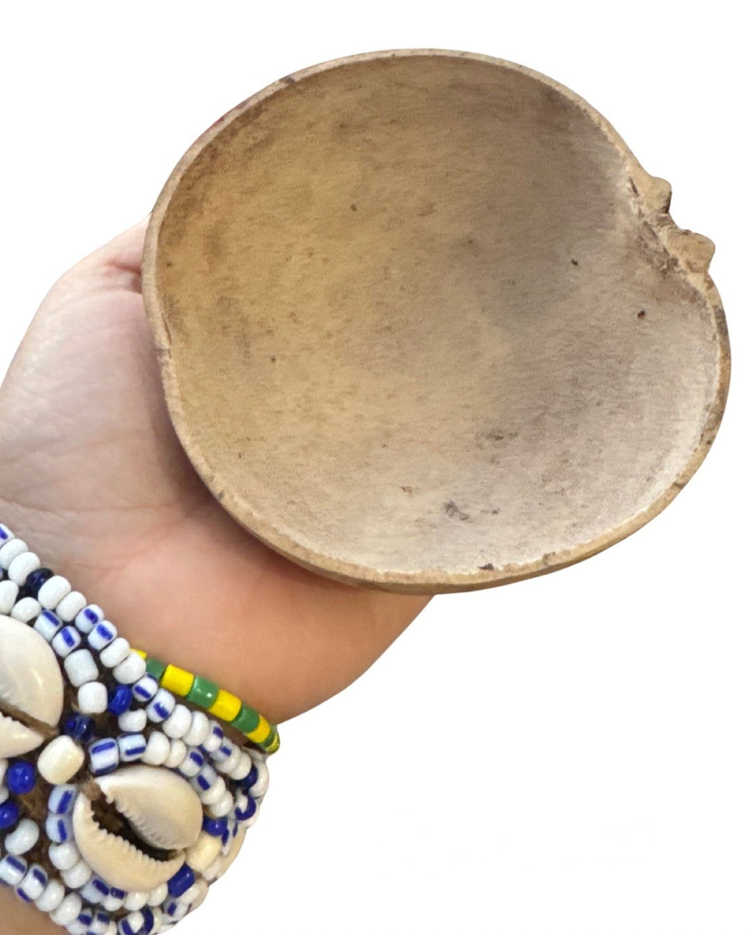 Jicaras Naturales 2"–8" | Inshe Miami