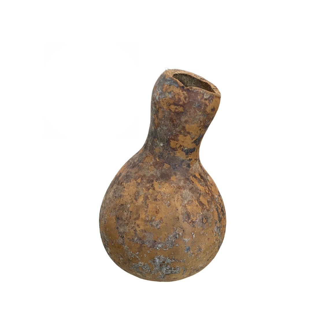 Igba Calabaza Nigeriana | Inshe Miami