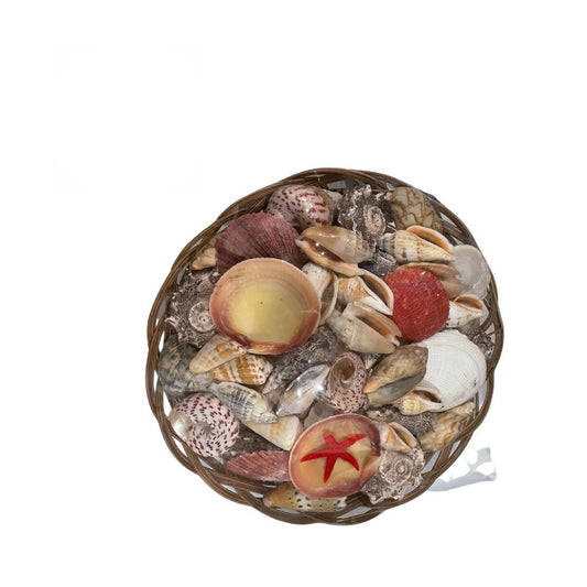 Cestas de Caracoles | Inshe Miami