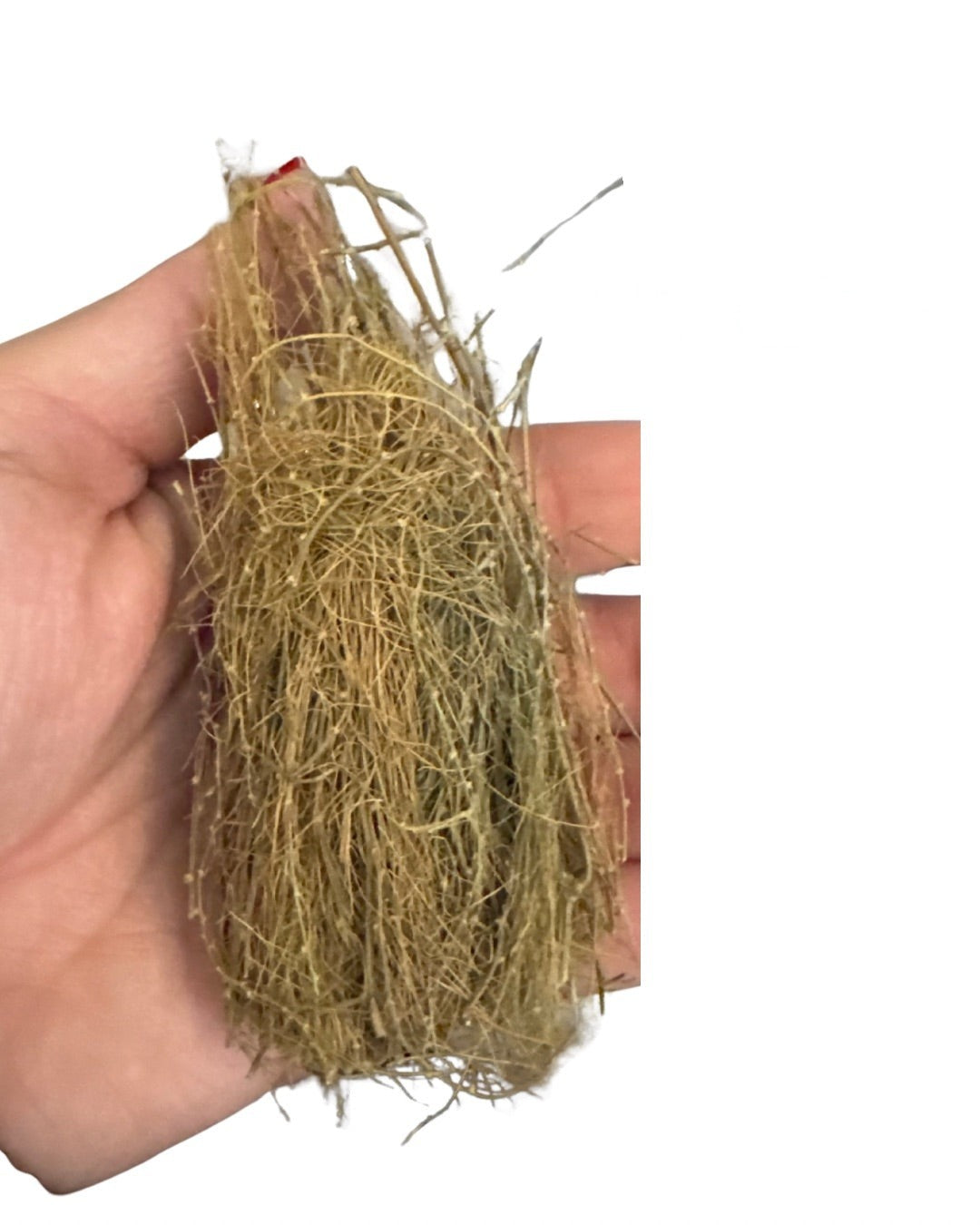 Ewe Aluki – Hierba Africana | Inshe Miami