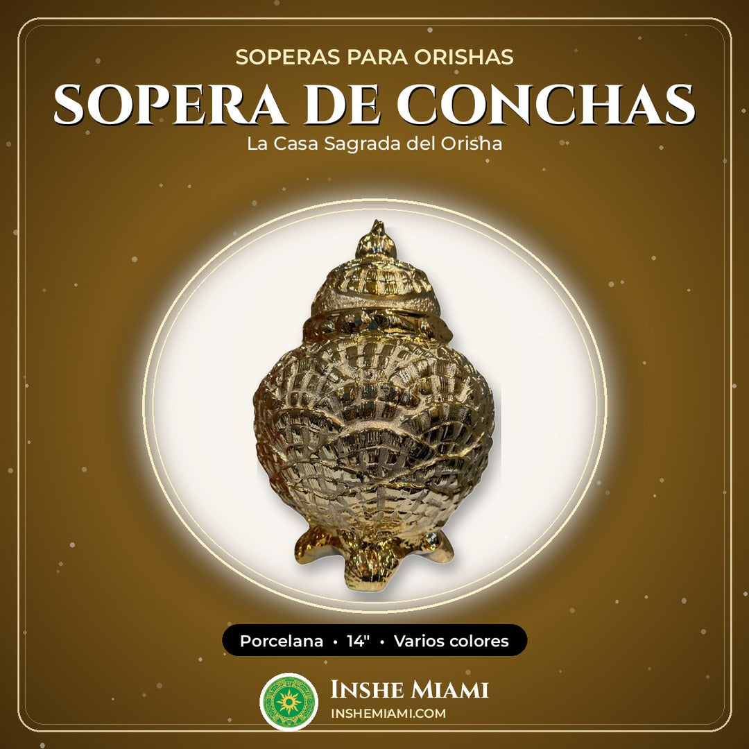 Sopera de Conchas 14" | Inshe Miami