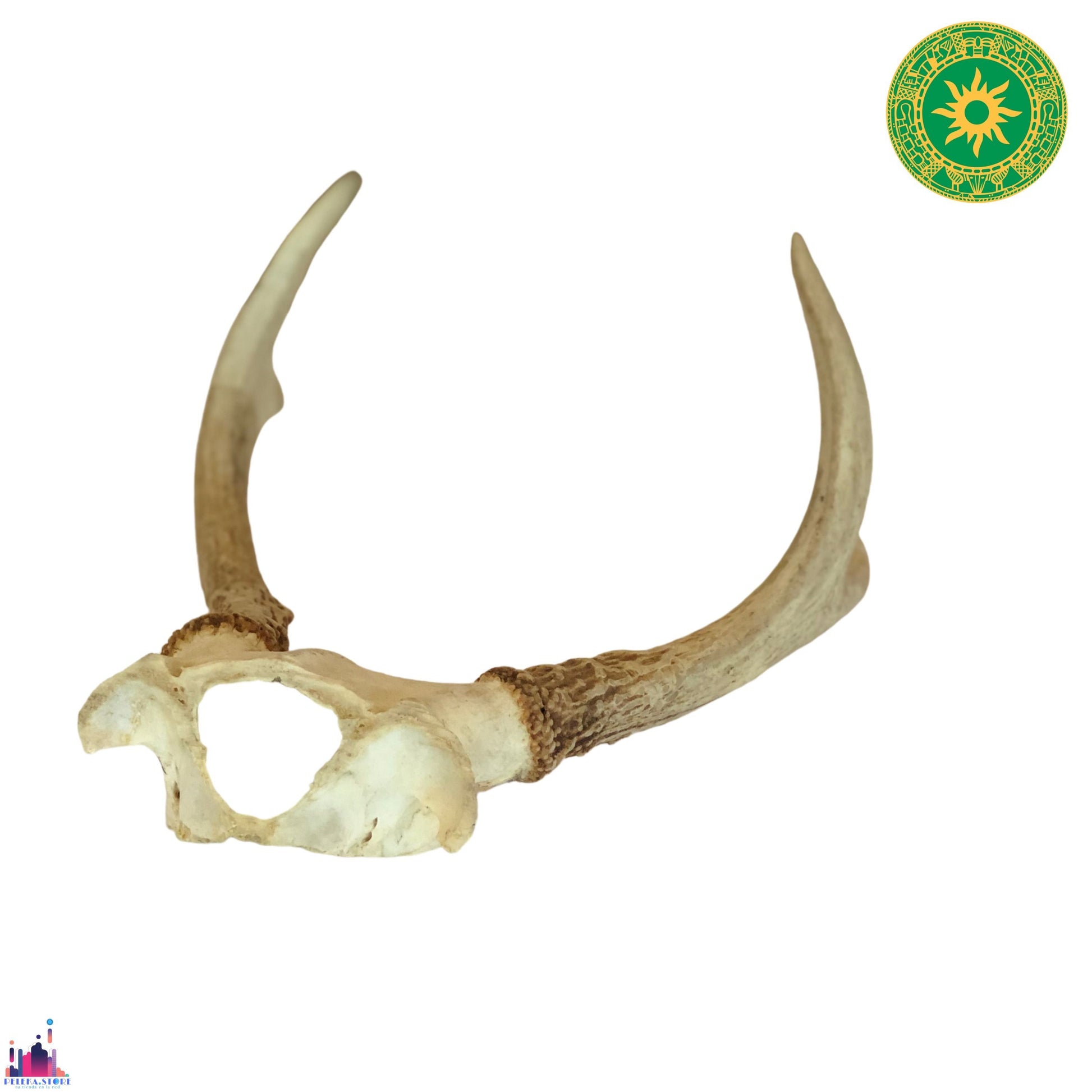 TARRO DE VENADO TARRO DE VENADO - Inshe Miami HUESO Y CUERNO INSHE MIAMI