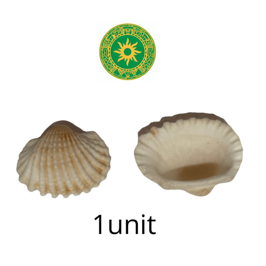 shell 0.5"-1"