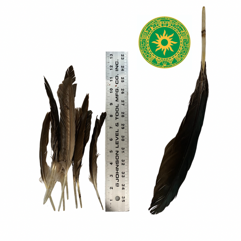PLUMA DE AURA TILLOZA