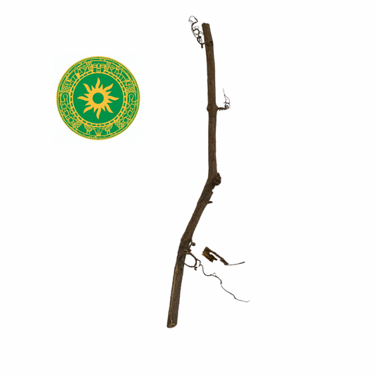 STICK CHANGES COURSE