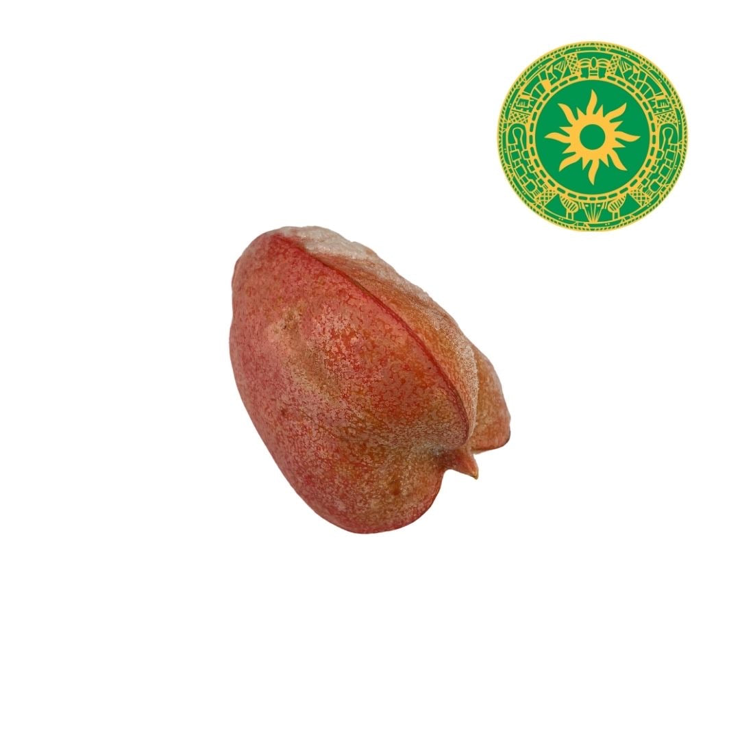 Fruta del Seso Vegetal