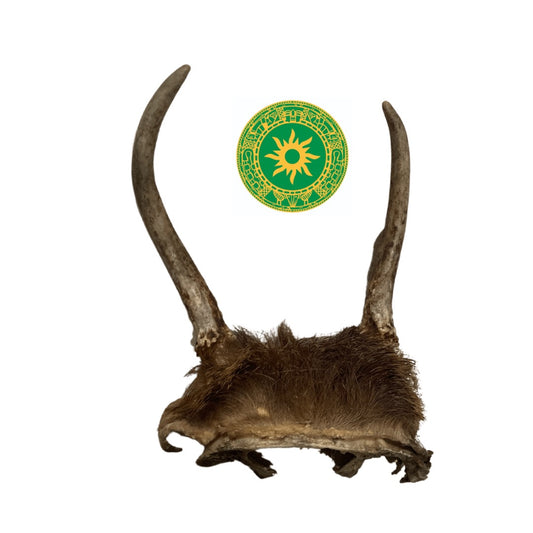 Frontil de Venado