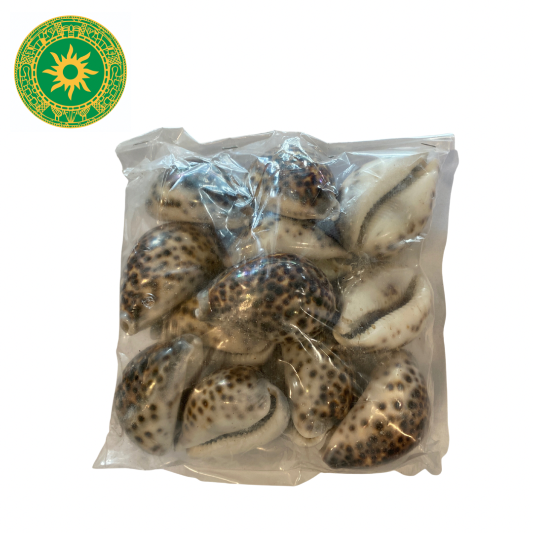 12 Caracoles Tigres / iya aje