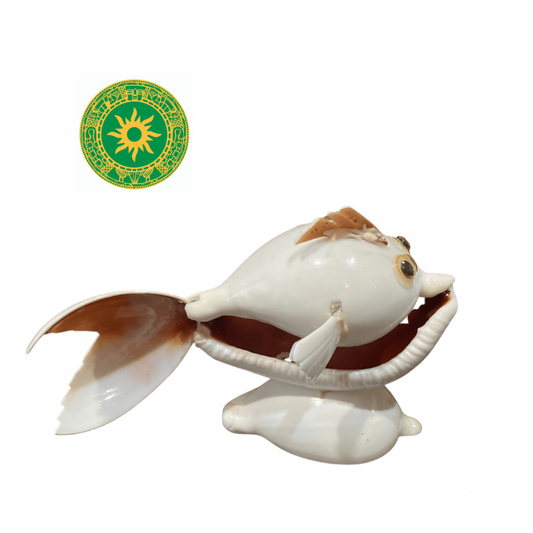 Pescado de Caracol Blanco