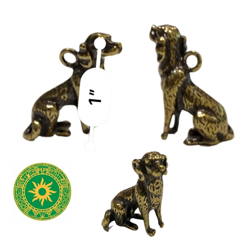 Perro