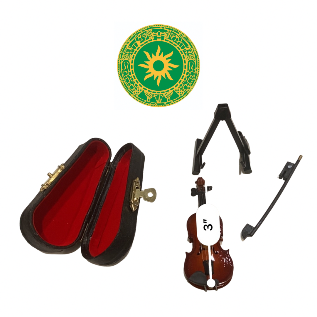 Violin con Caja 3"