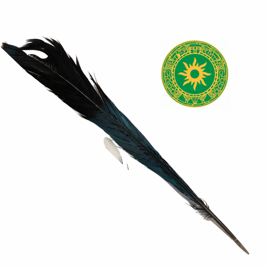 Pluma de loro