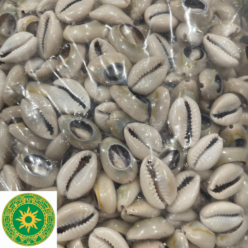 Paquetes de Caracoles Abiertos