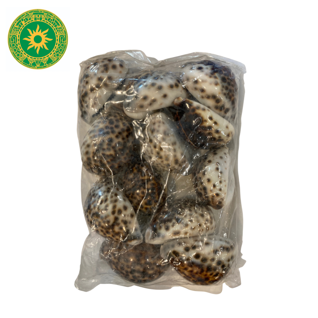 12 Caracoles Tigres / iya aje