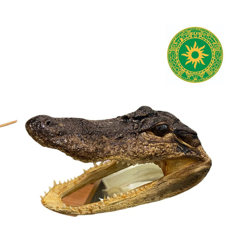 Cabeza de Cocodrilo