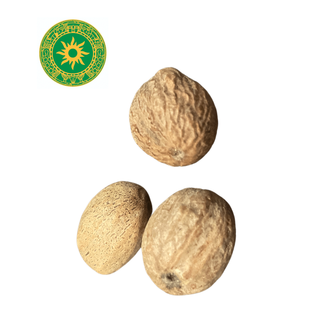 Nutmeg Seed