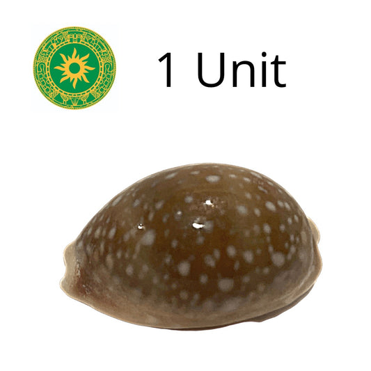 Caracoles